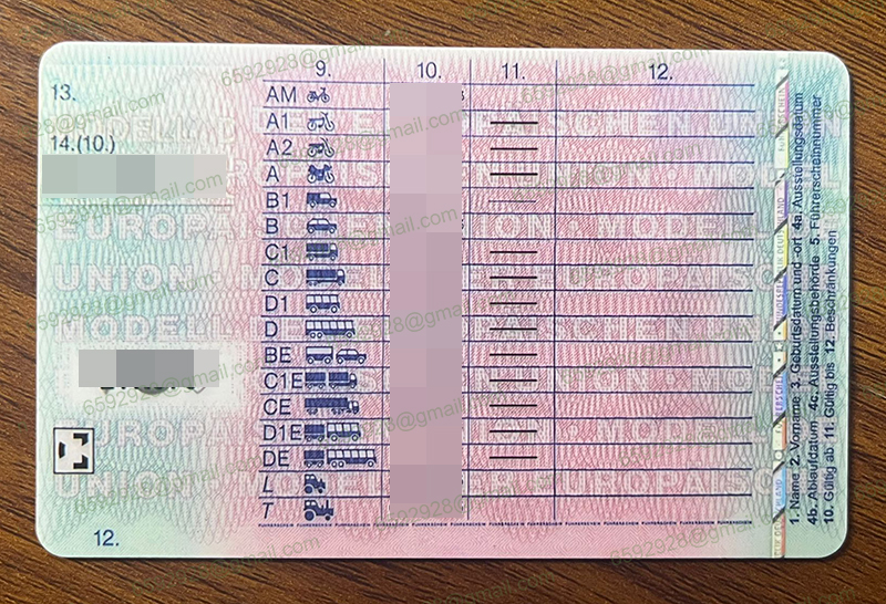 Deutschland Führerschein Zurück