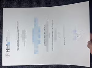 HHL Leipzig Graduate School of Management Urkunde Muster-1