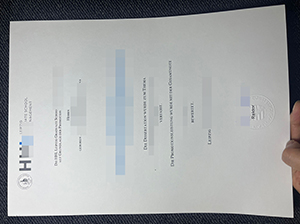 HHL Leipzig Graduate School of Management Urkunde Muster