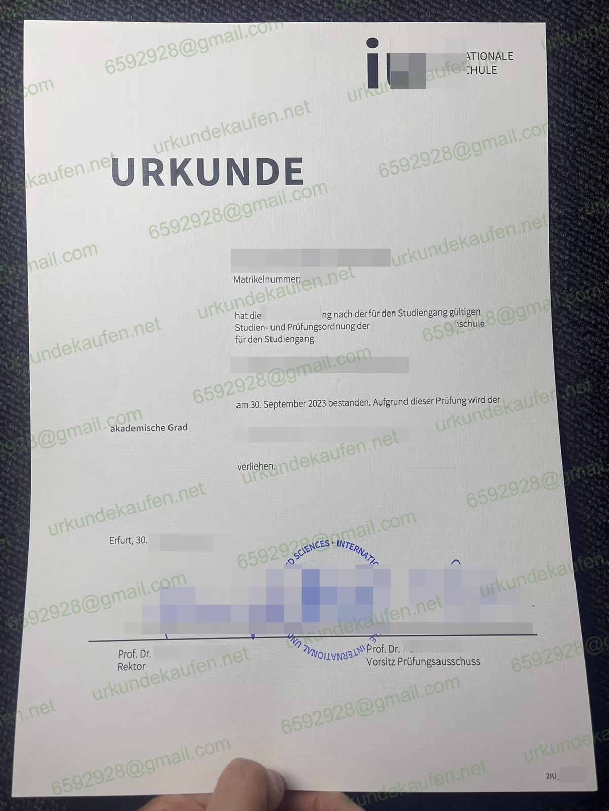 IU Internationale Hochschule Urkunde Muster