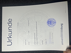 Universität Freiburg Urkunde Muster