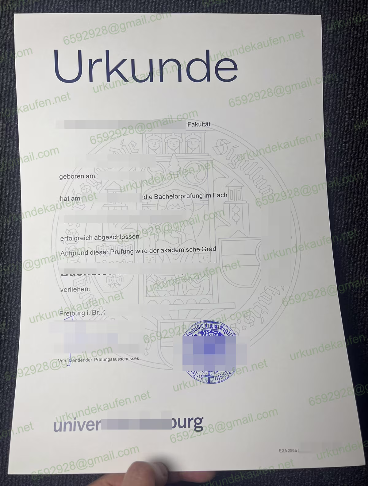 Universität Freiburg Urkunde Muster