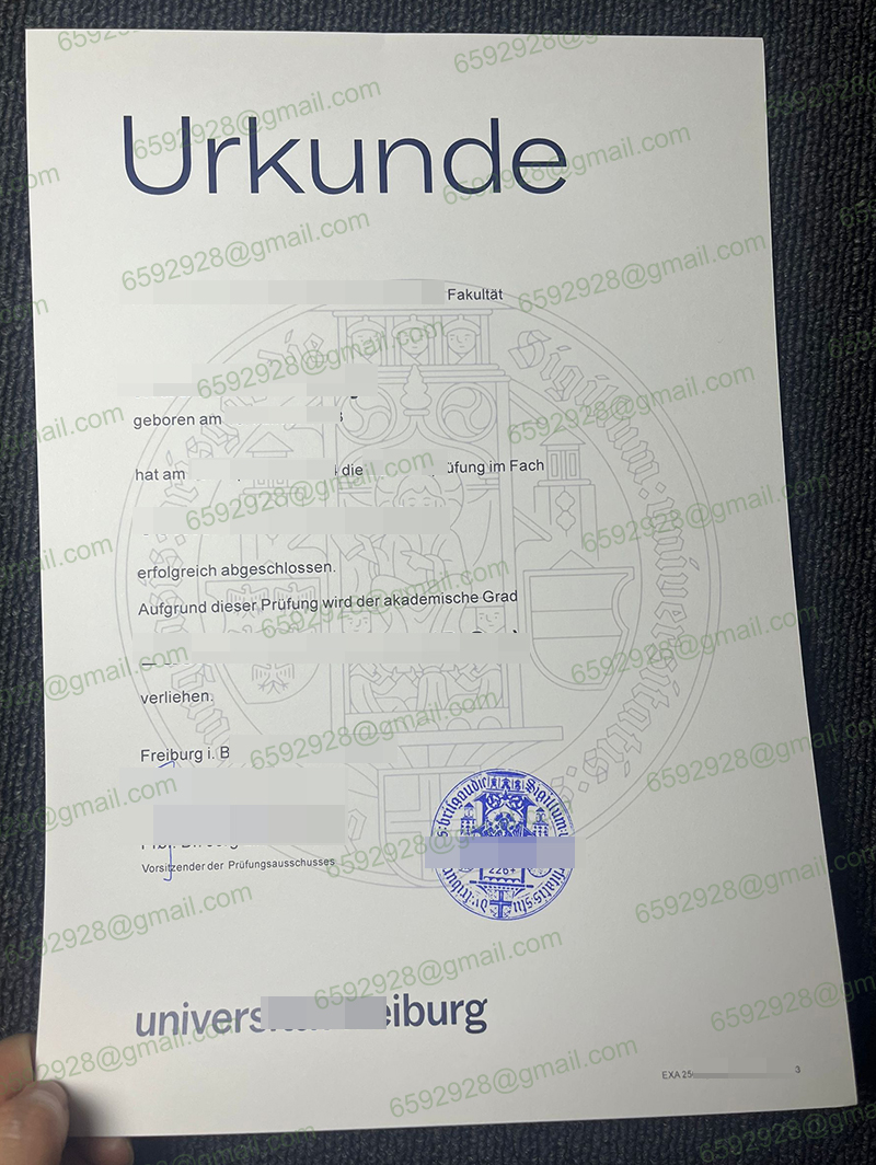 Universität Freiburg Urkunde