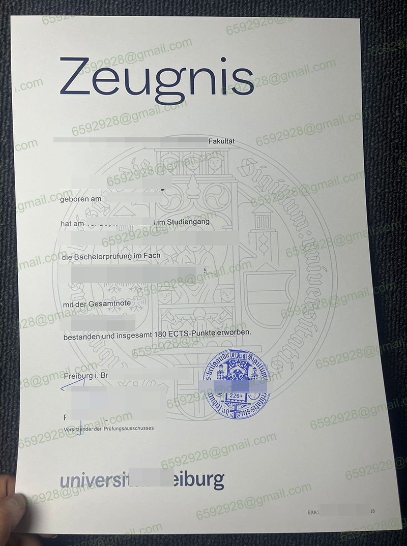Universität Freiburg Zeugnis