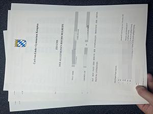 ‌Abitur Zeugnis Muster