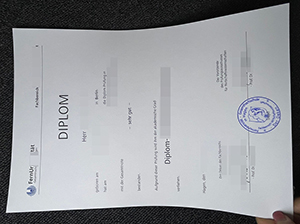 FernUniversität in Hagen diplom Muster