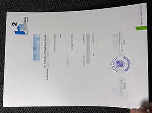 Hochschule Magdeburg-Stendal Urkunde Muster-1