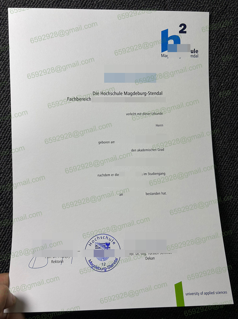 Hochschule Magdeburg-Stendal Urkunde
