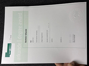 Universität Bielefeld Bachelorurkunde Muster