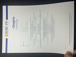 Euro-FH Zeugnis Muster