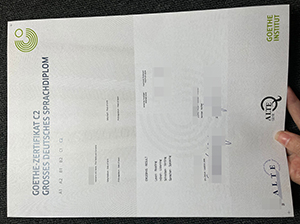 Goethe-Zertifikat C2 Muster