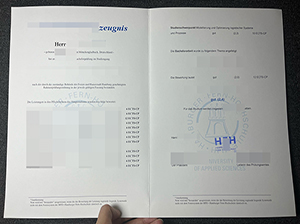 Hamburger Fern-Hochschule Zeugnis Muster