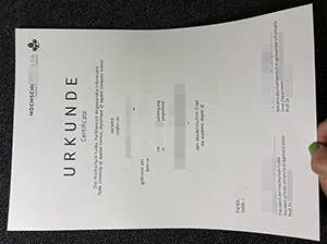 Hochschule Fulda Urkunde Muster