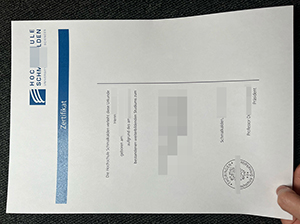 Hochschule Schmalkalden Zertifikat Muster