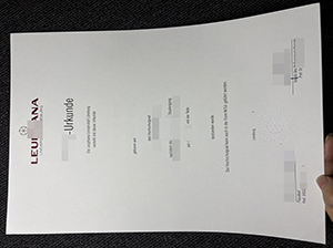 Leuphana Universität Lüneburg Urkunde Muster