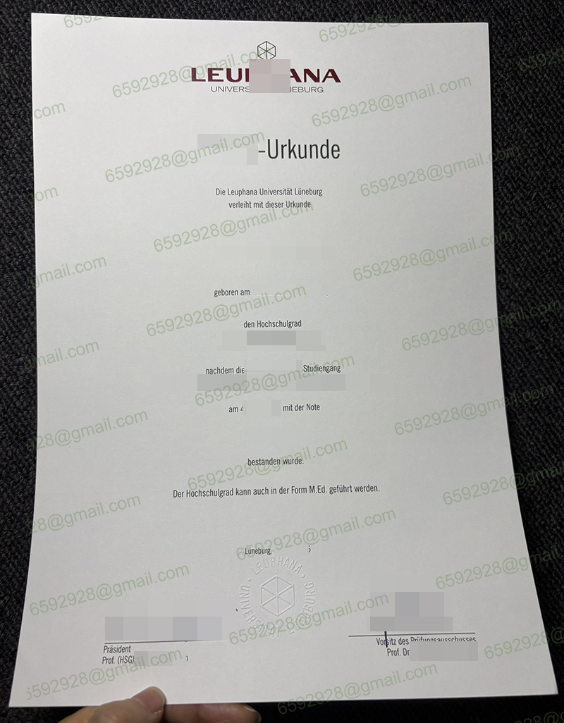 Leuphana Universität Lüneburg Urkunde