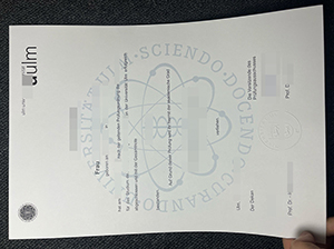 Universität Ulm Urkunde Muster