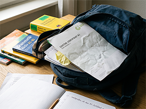 Gefundenes Goethe-Zertifikat im Rucksack-1