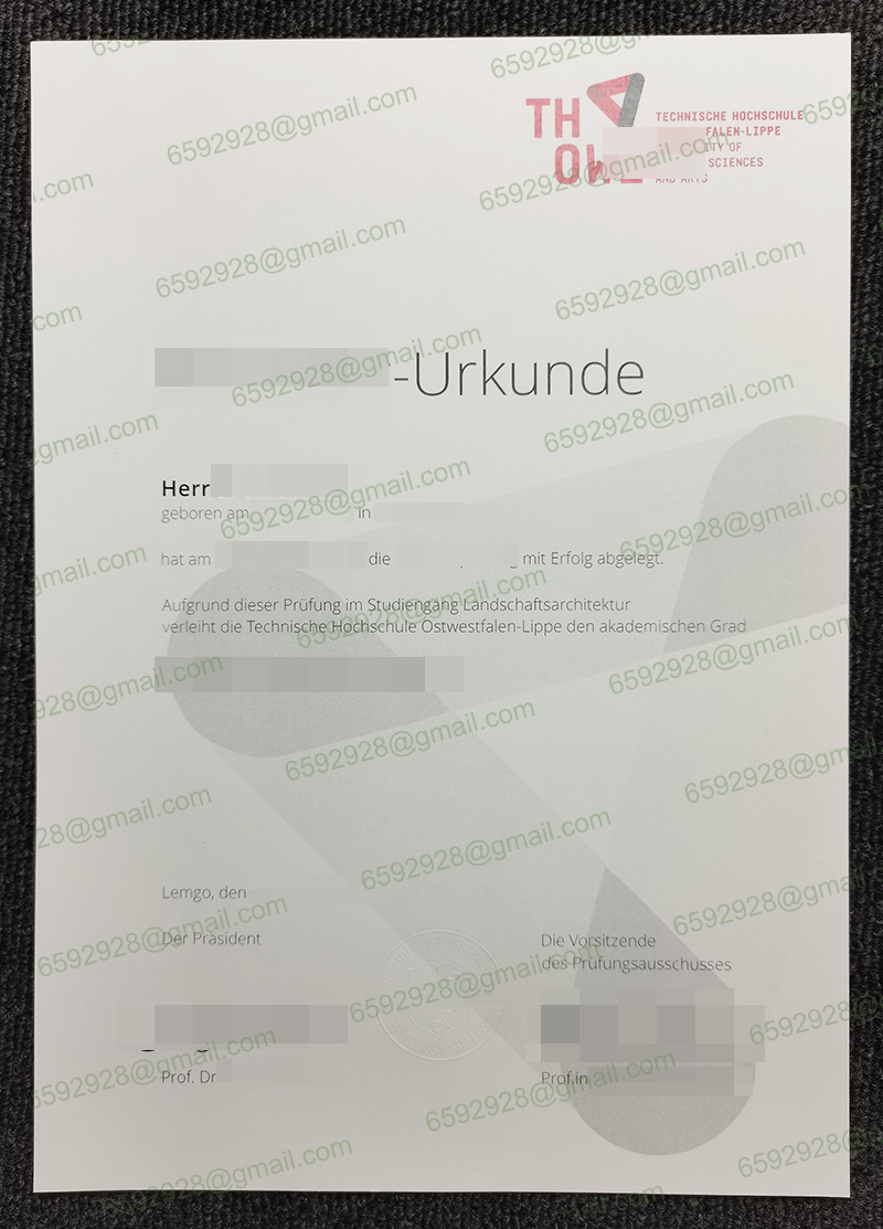 TH OWL Urkunde