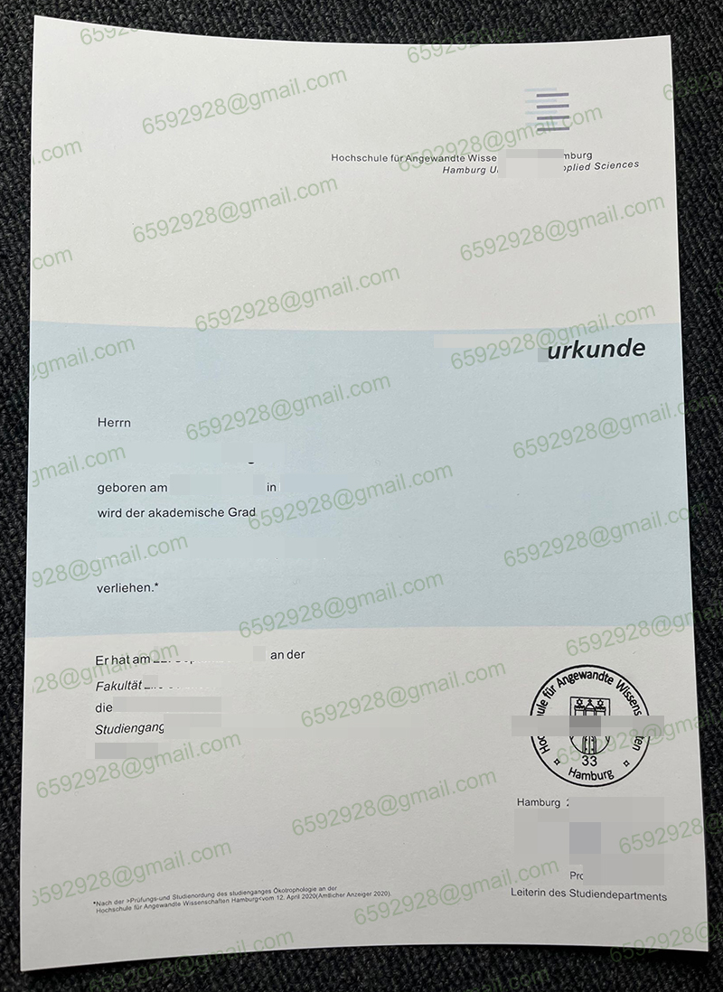 HAW Hamburg Urkunde