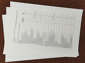 Hochschule Rhein-Waal Zeugnis Muster