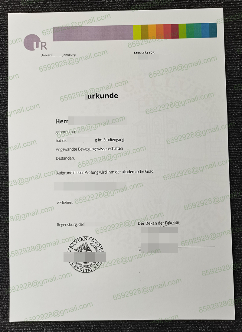 Universität Regensburg Urkunde